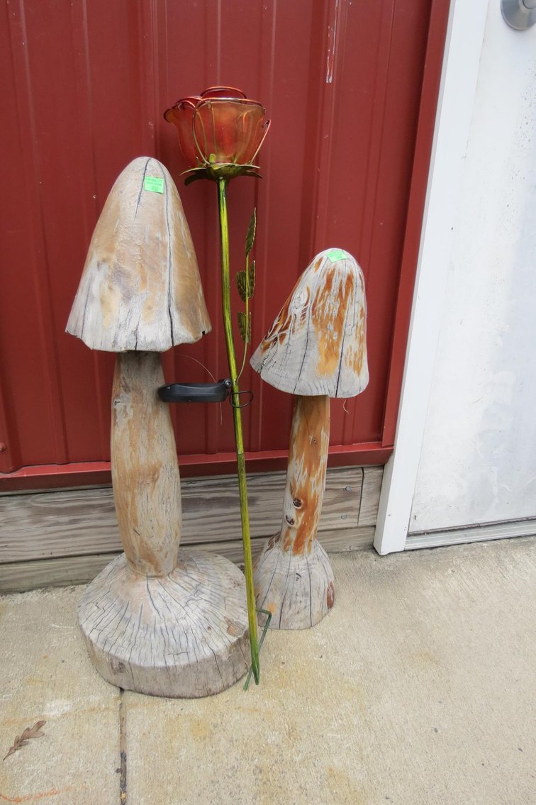 Image for Cold Springs Gallery