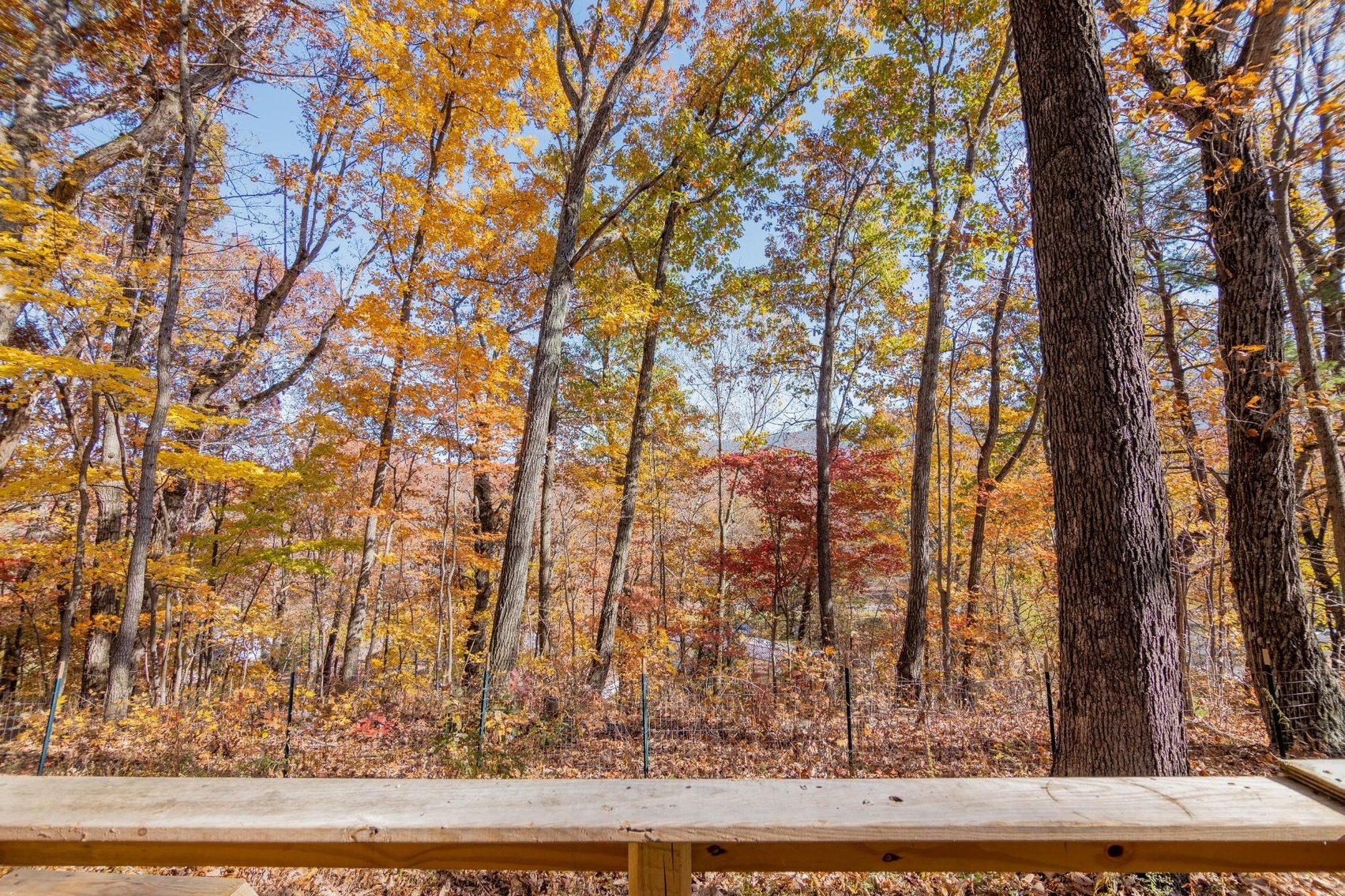 Image for Greenville Real Estate Auction