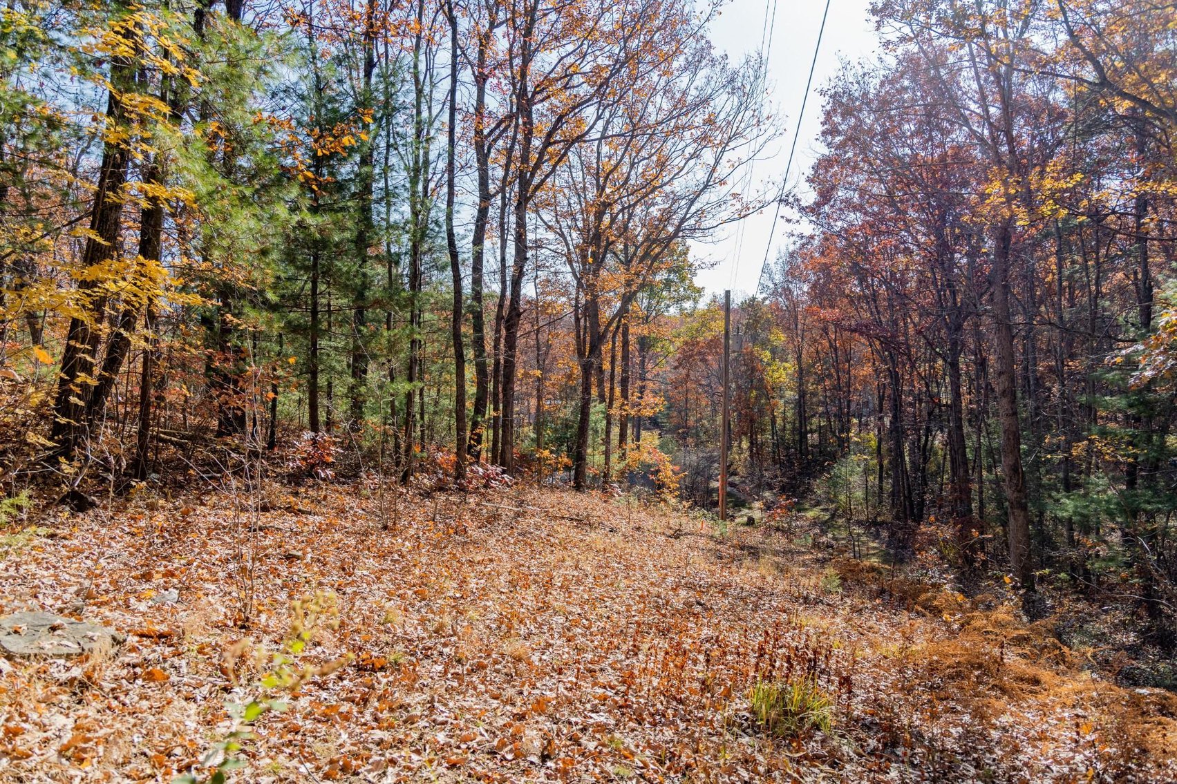 Image for Greenville Real Estate Auction
