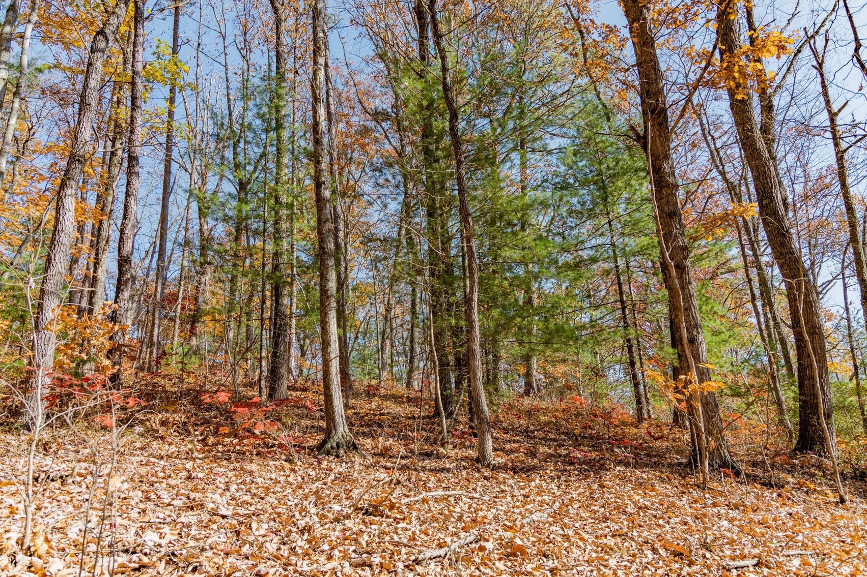 Image for Greenville Real Estate Auction