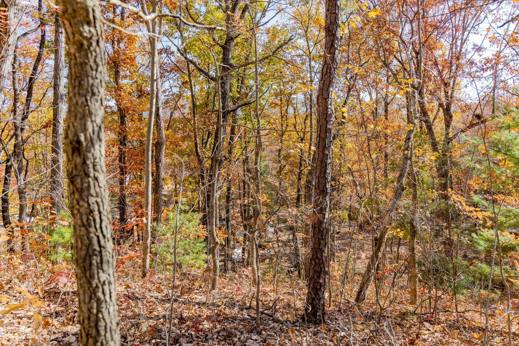 Image for Greenville Real Estate Auction