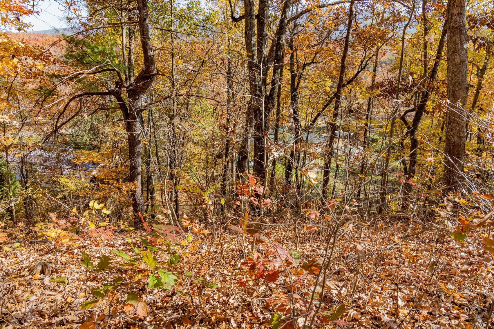 Image for Greenville Real Estate Auction