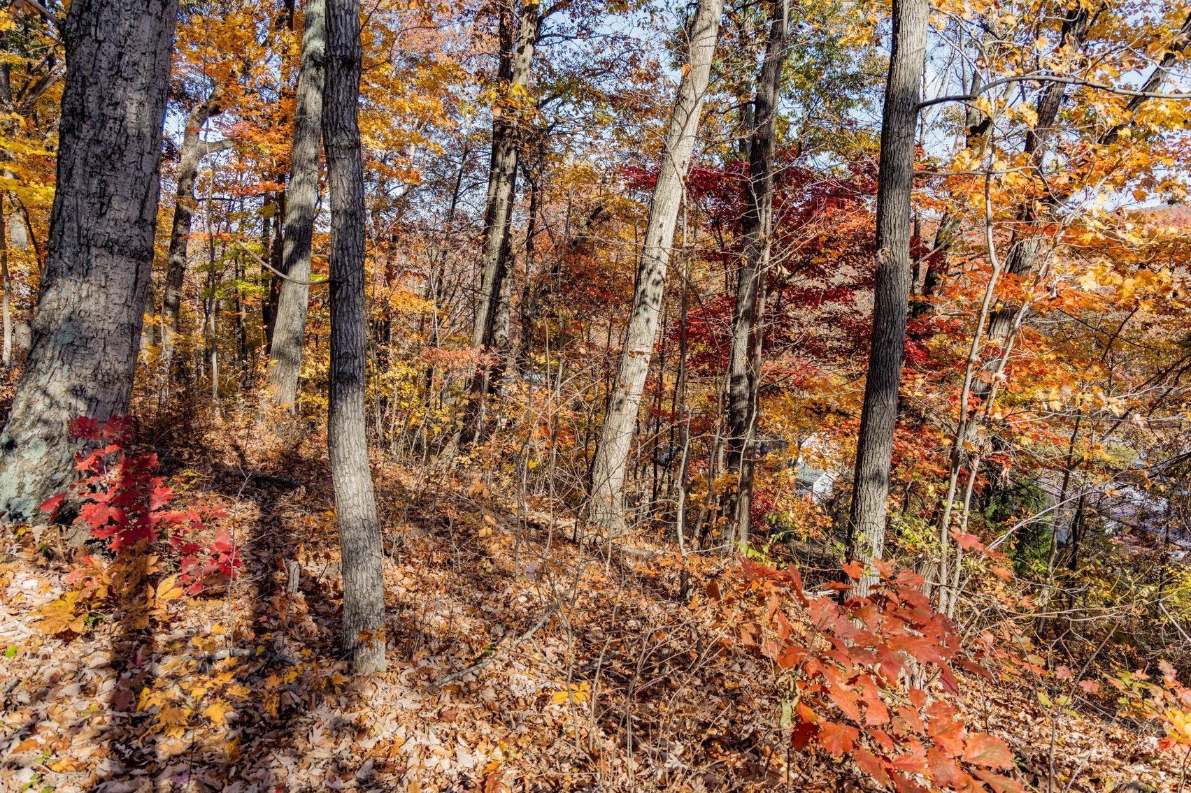 Image for Greenville Real Estate Auction