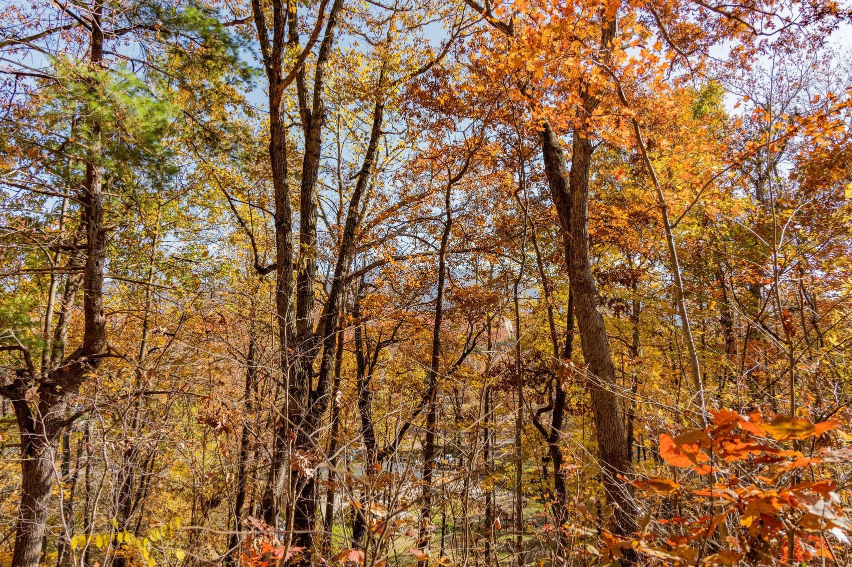 Image for Greenville Real Estate Auction