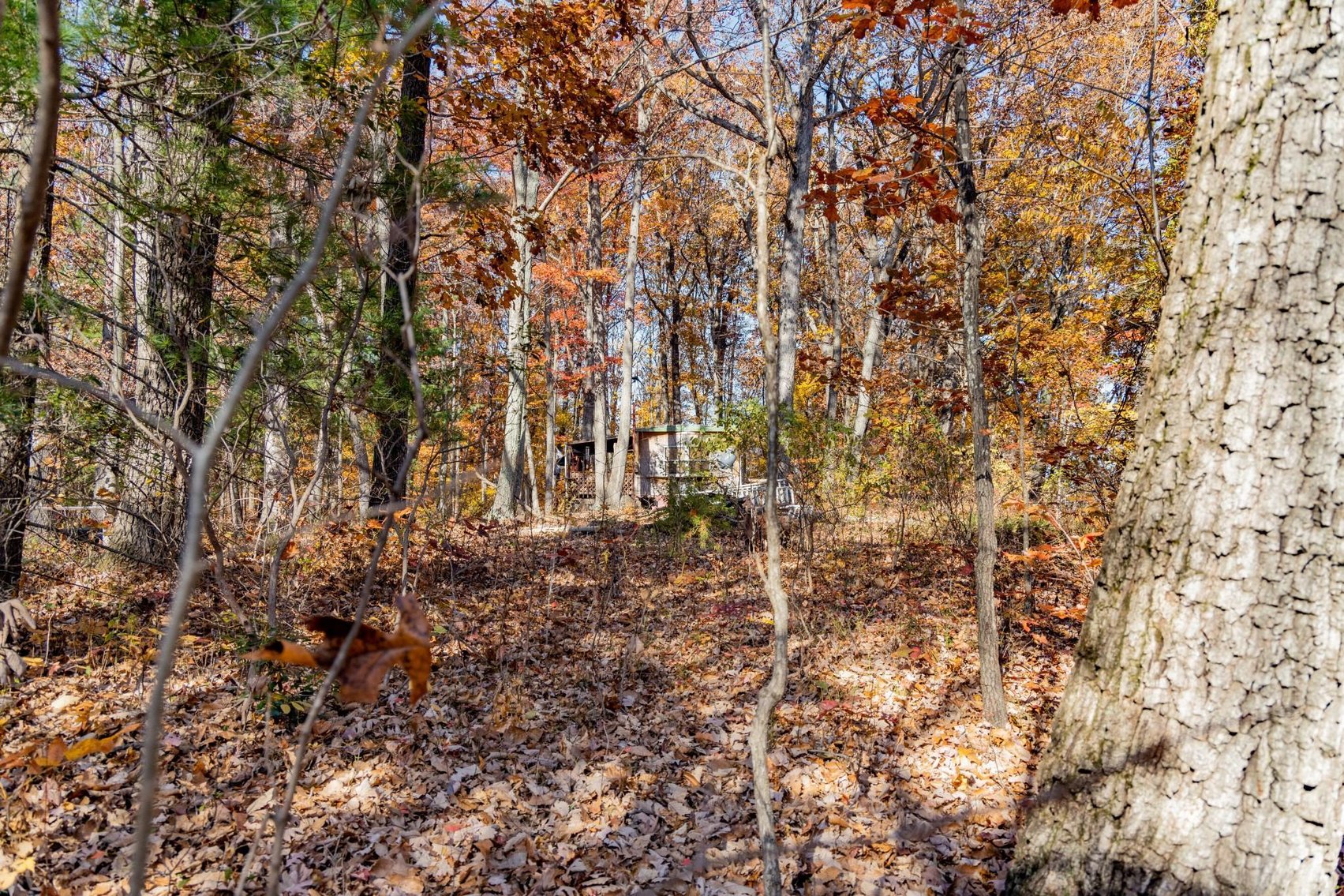 Image for Greenville Real Estate Auction
