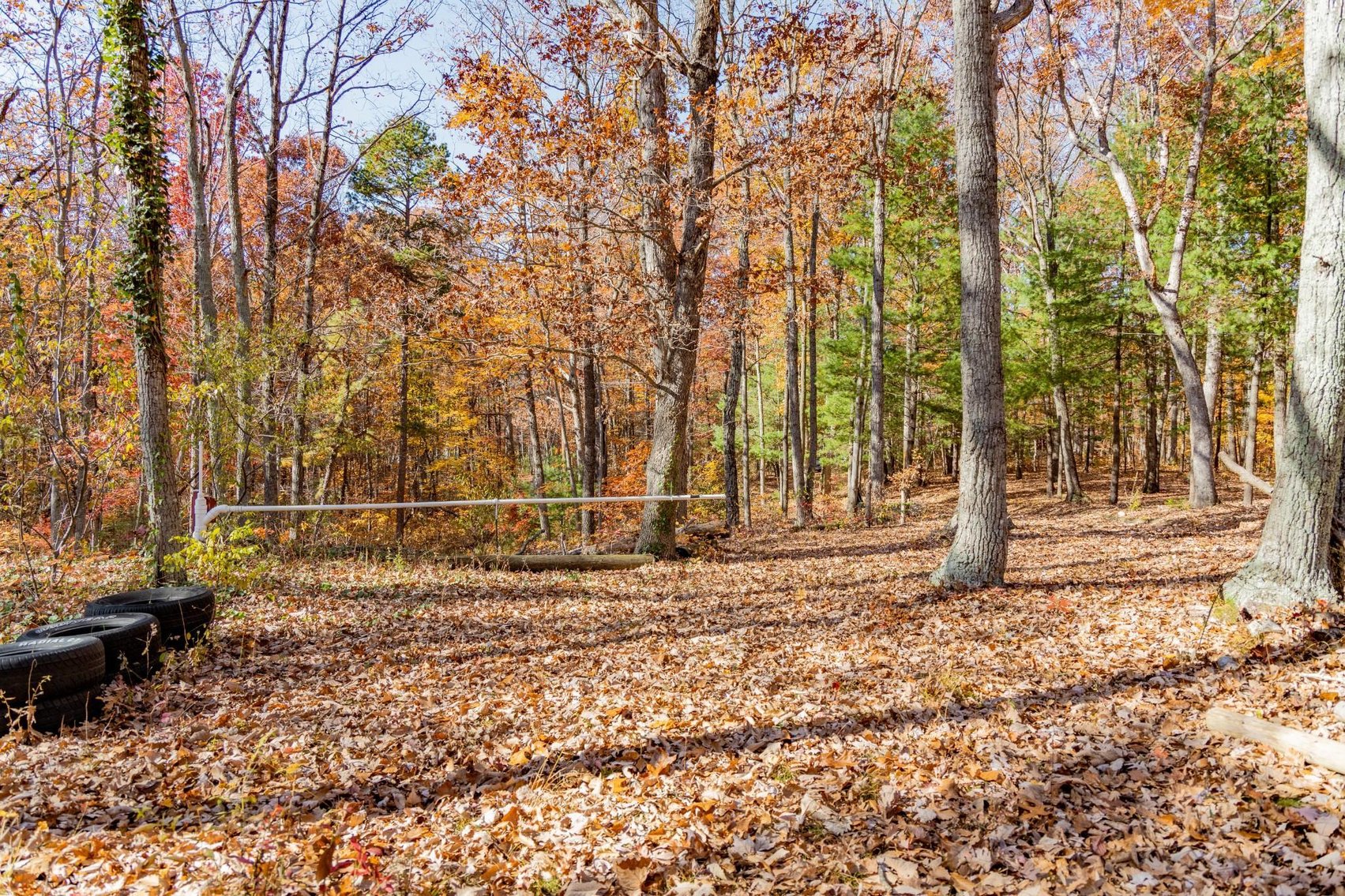 Image for Greenville Real Estate Auction