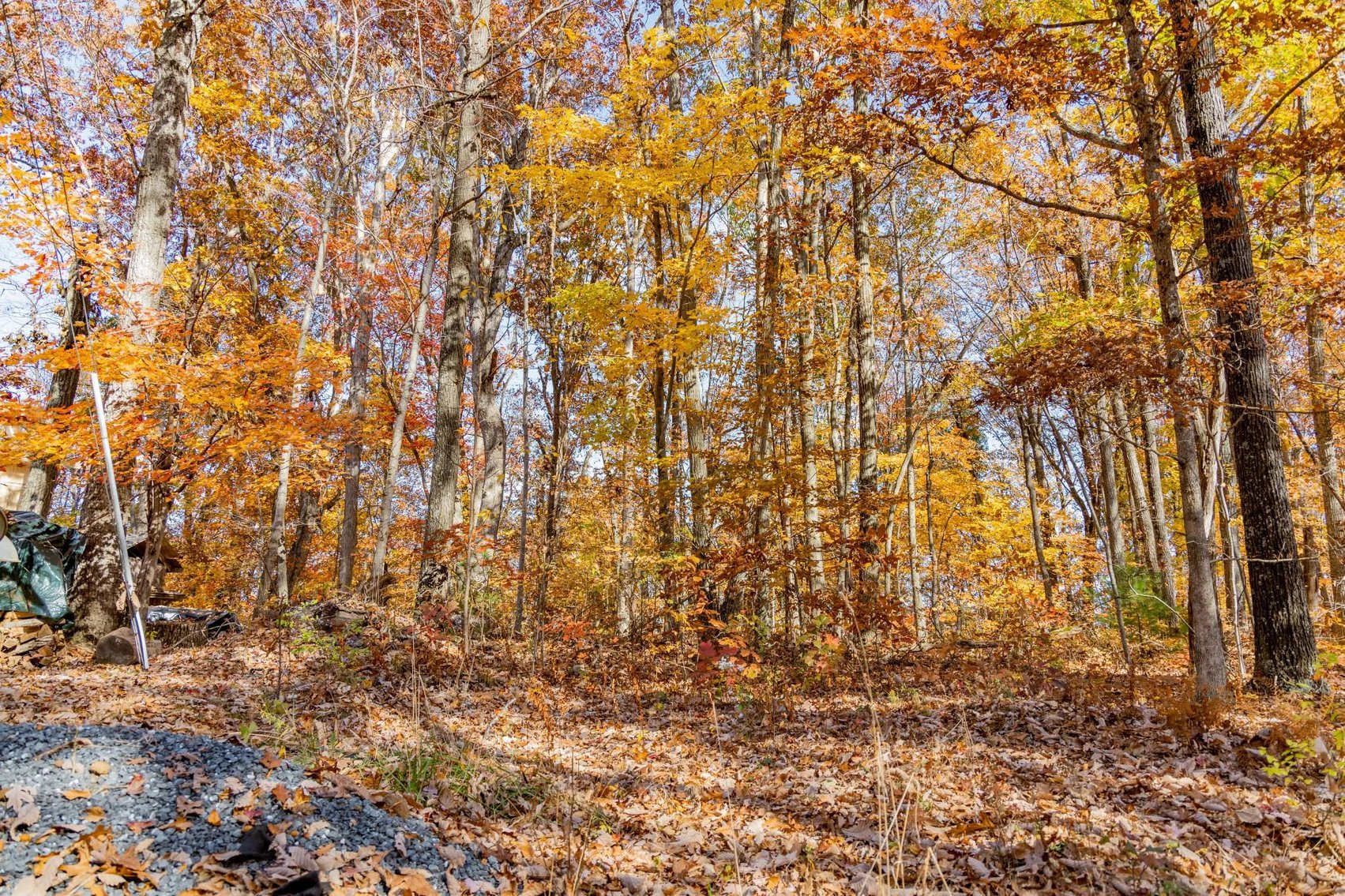 Image for Greenville Real Estate Auction