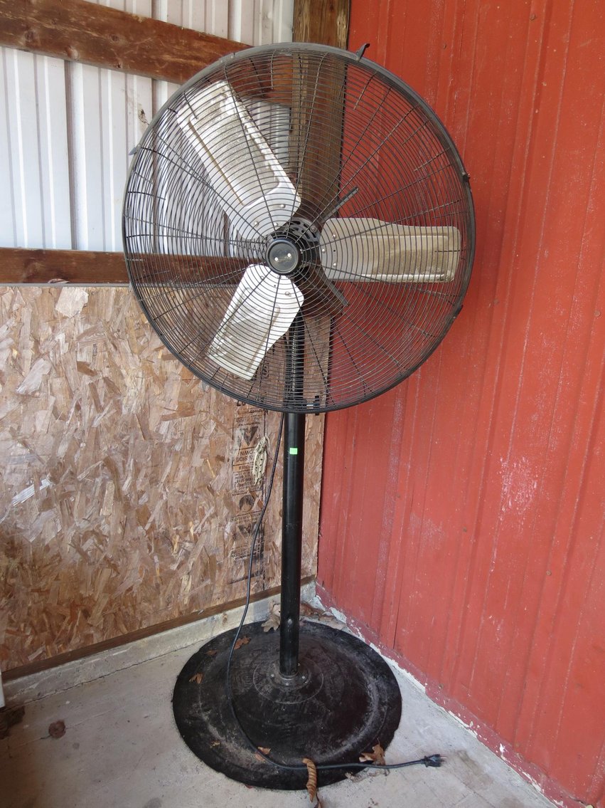 Image for Hidden Treasures Gallery