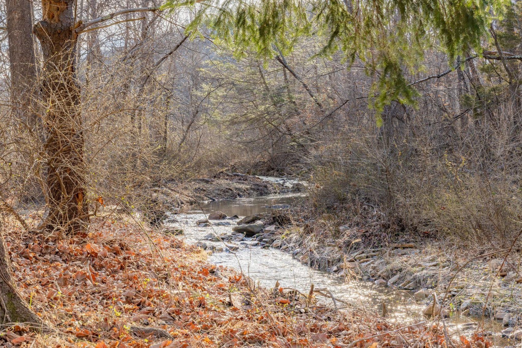 Image for Lyndhurst Real Estate