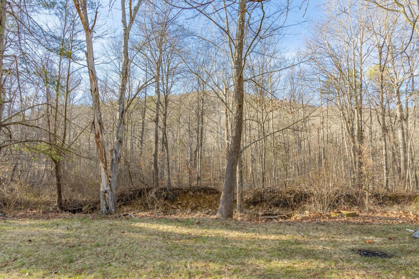 Image for Lyndhurst Real Estate