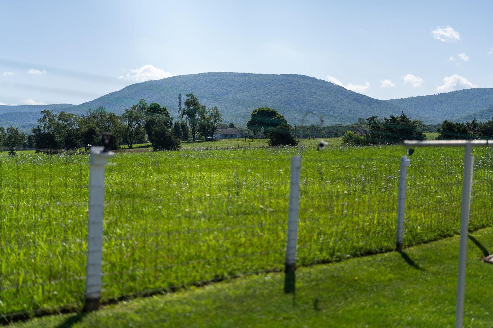 Image for Waynesboro Home and 4+ Acres