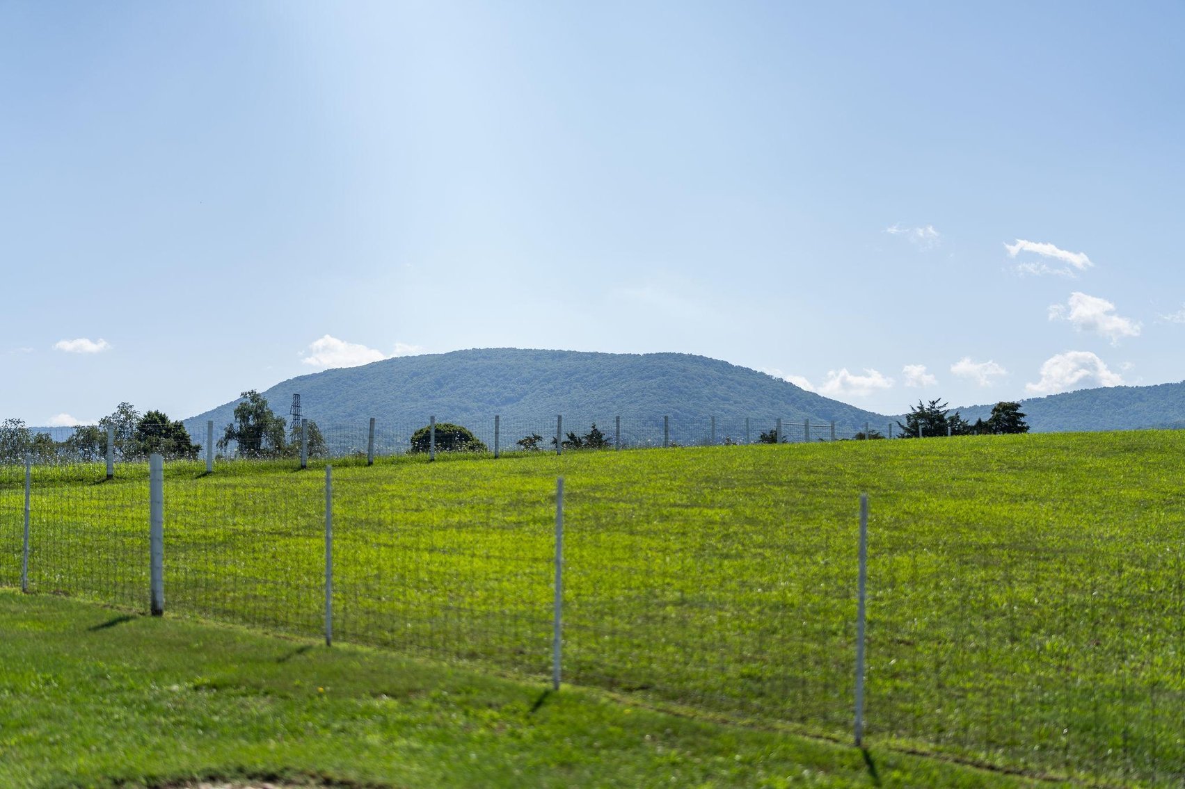 Image for Waynesboro Home and 4+ Acres