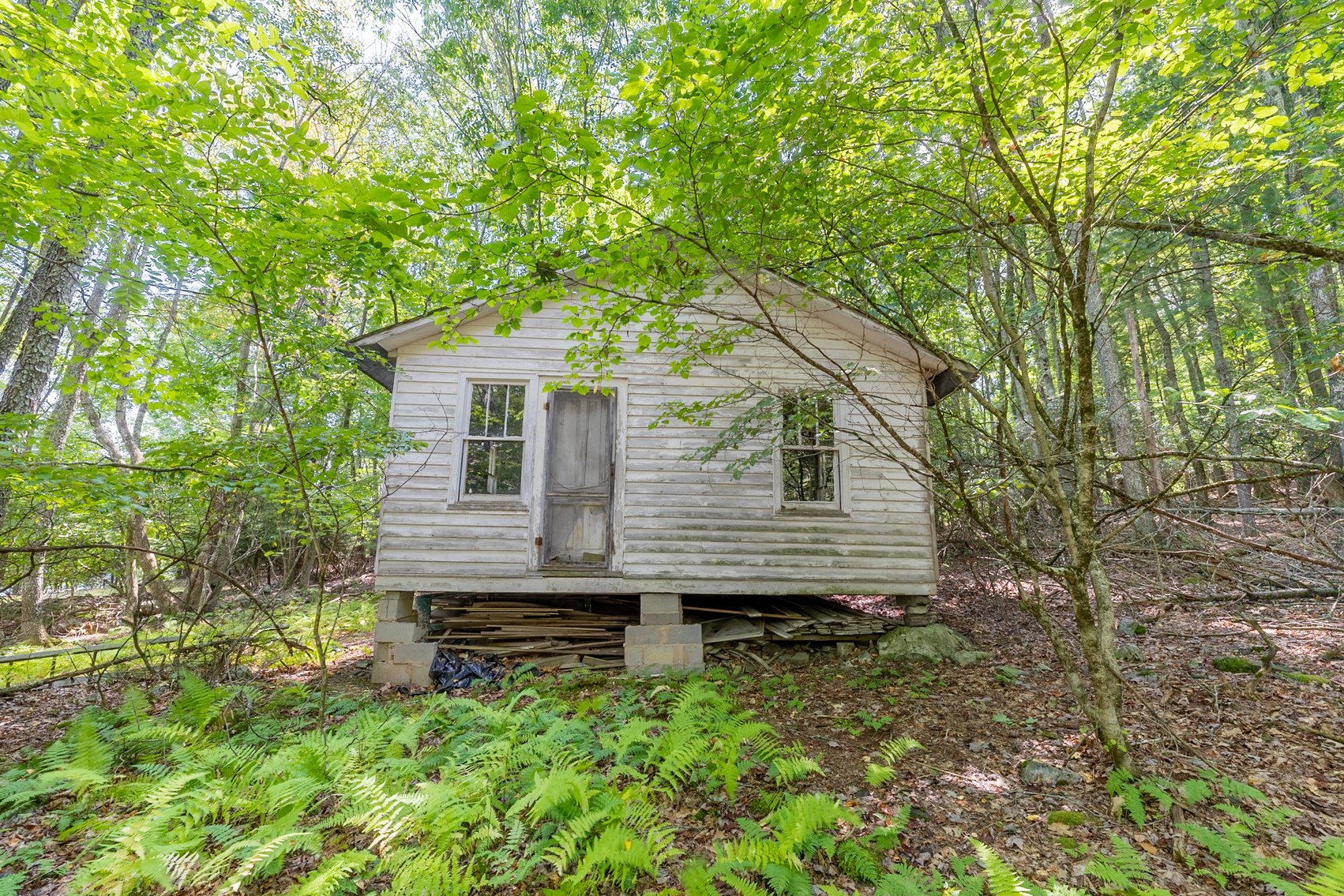 Image for Monterey Property - No Reserve