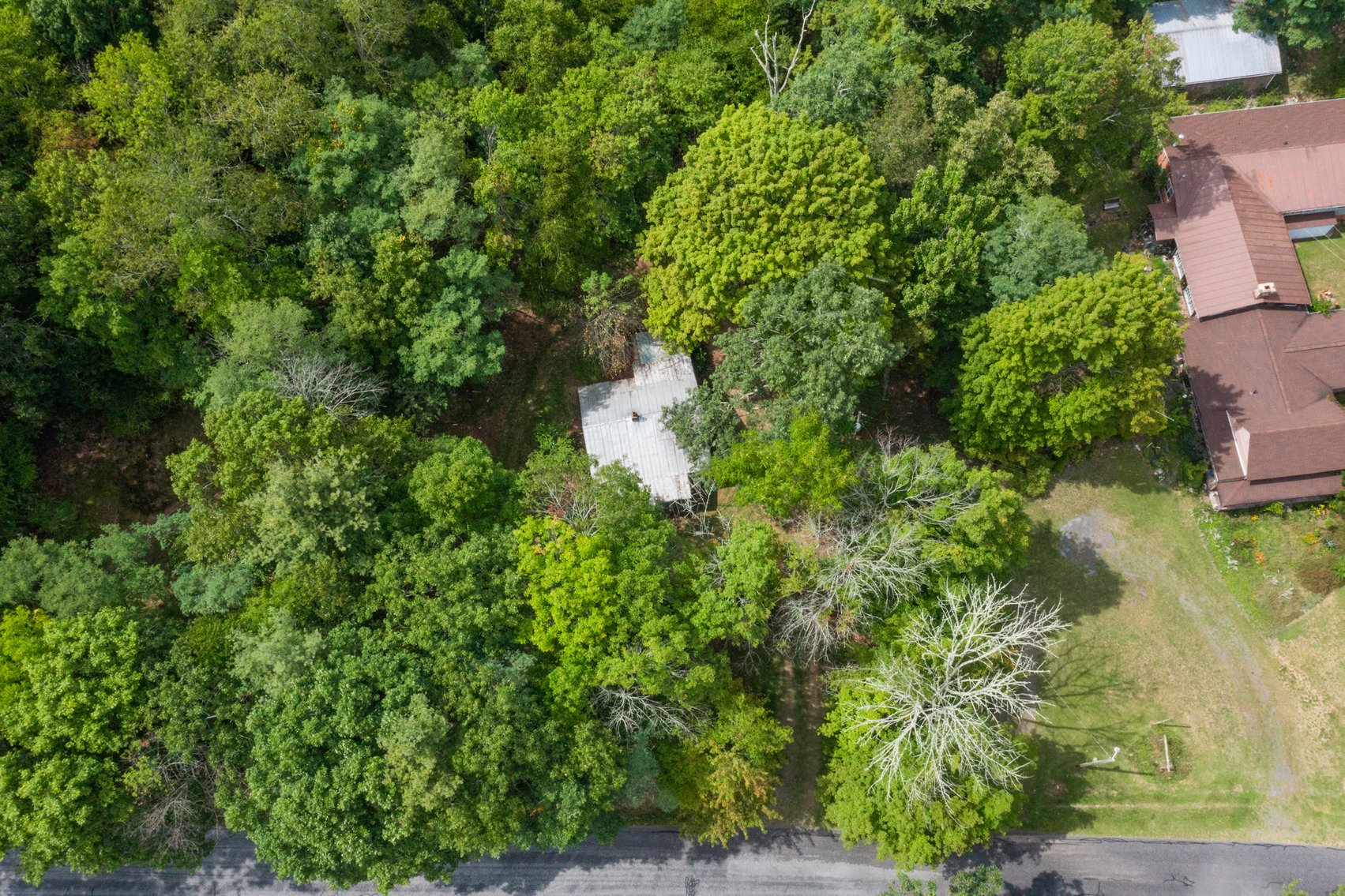 Image for Monterey Property - No Reserve