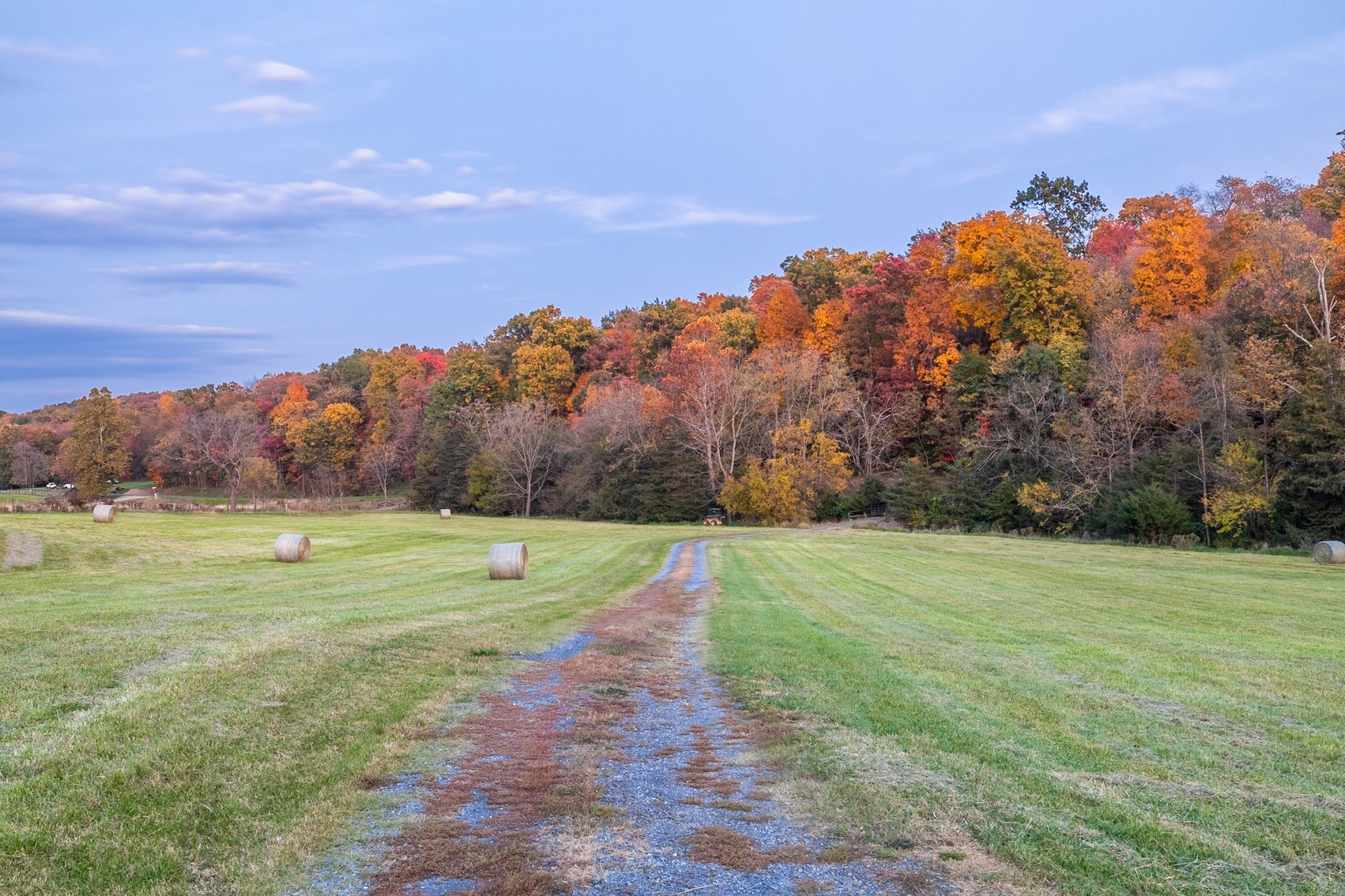 Image for Home and 30 Acres - Mount Crawford