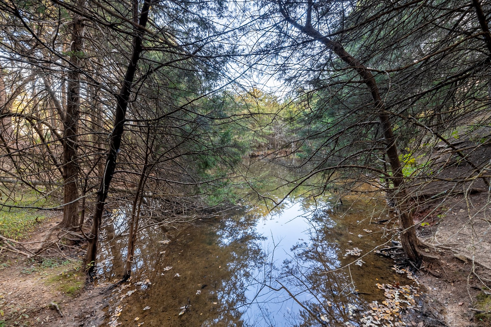 Image for Home and 30 Acres - Mount Crawford