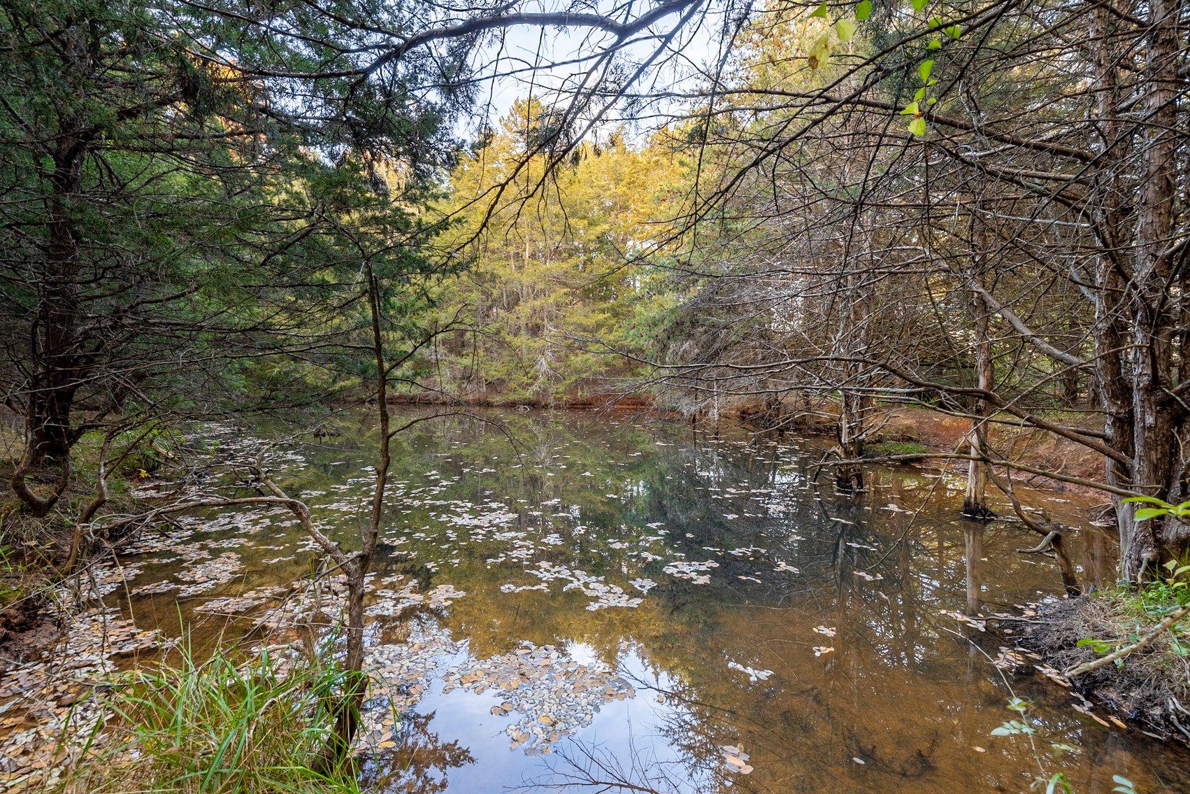 Image for Home and 30 Acres - Mount Crawford