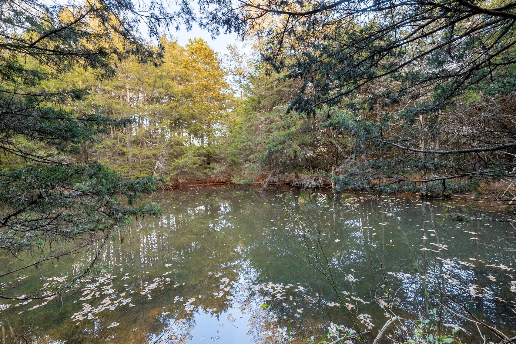 Image for Home and 30 Acres - Mount Crawford