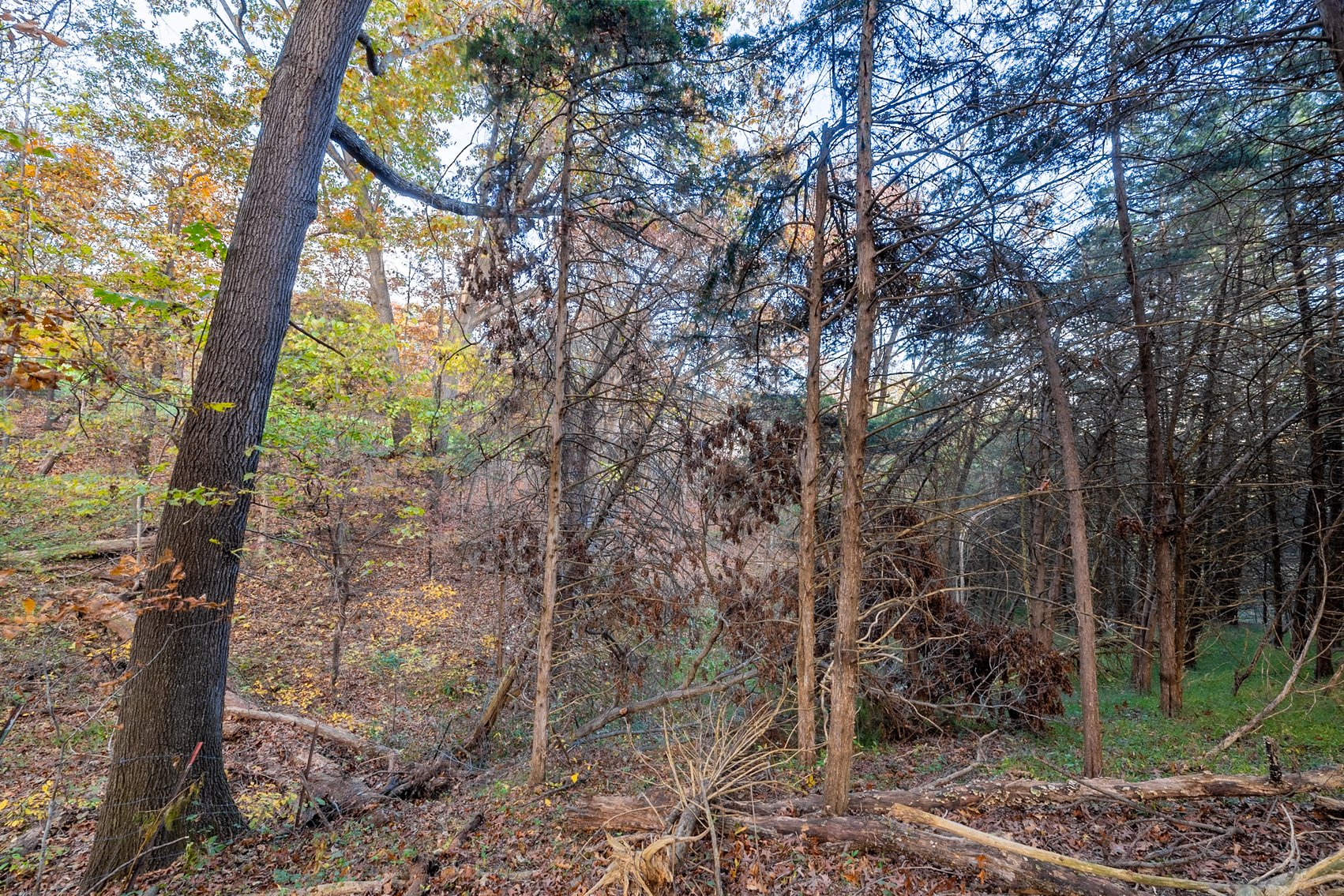 Image for Home and 30 Acres - Mount Crawford