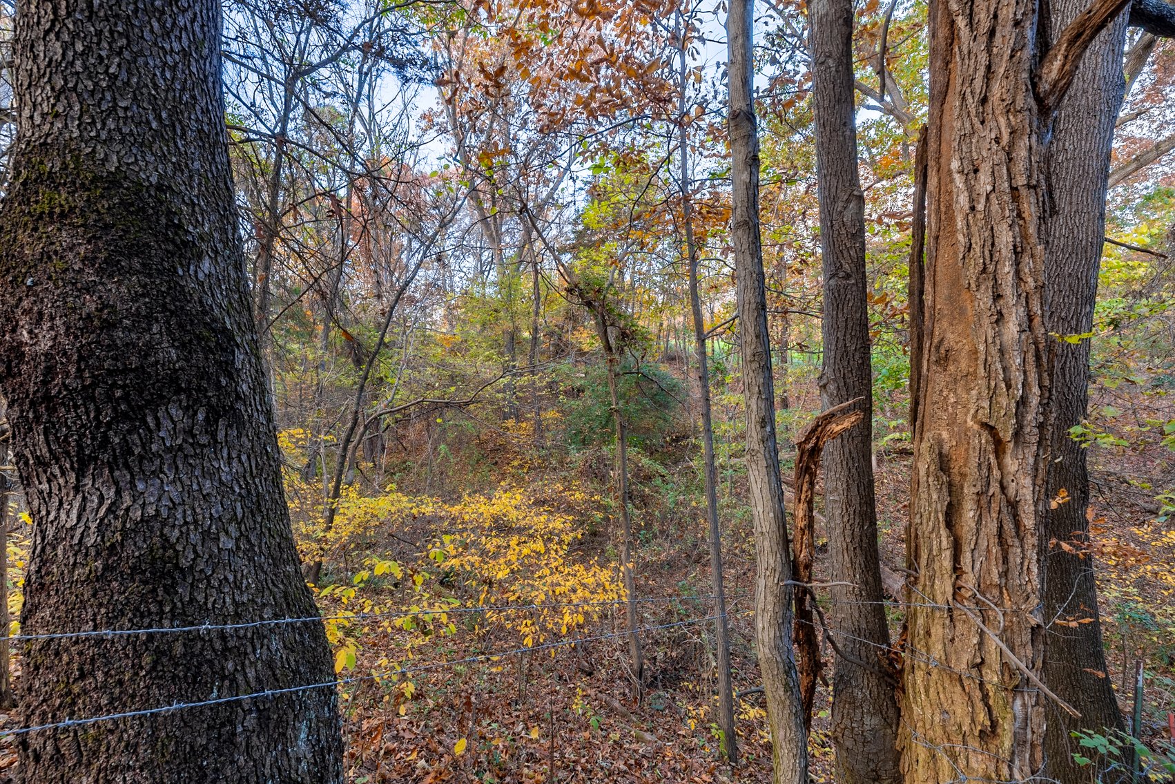 Image for Home and 30 Acres - Mount Crawford