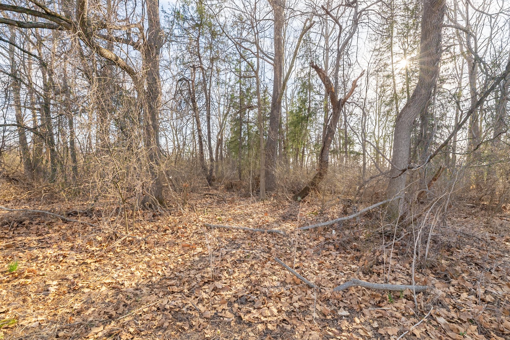 Image for Waynesboro Land Auction