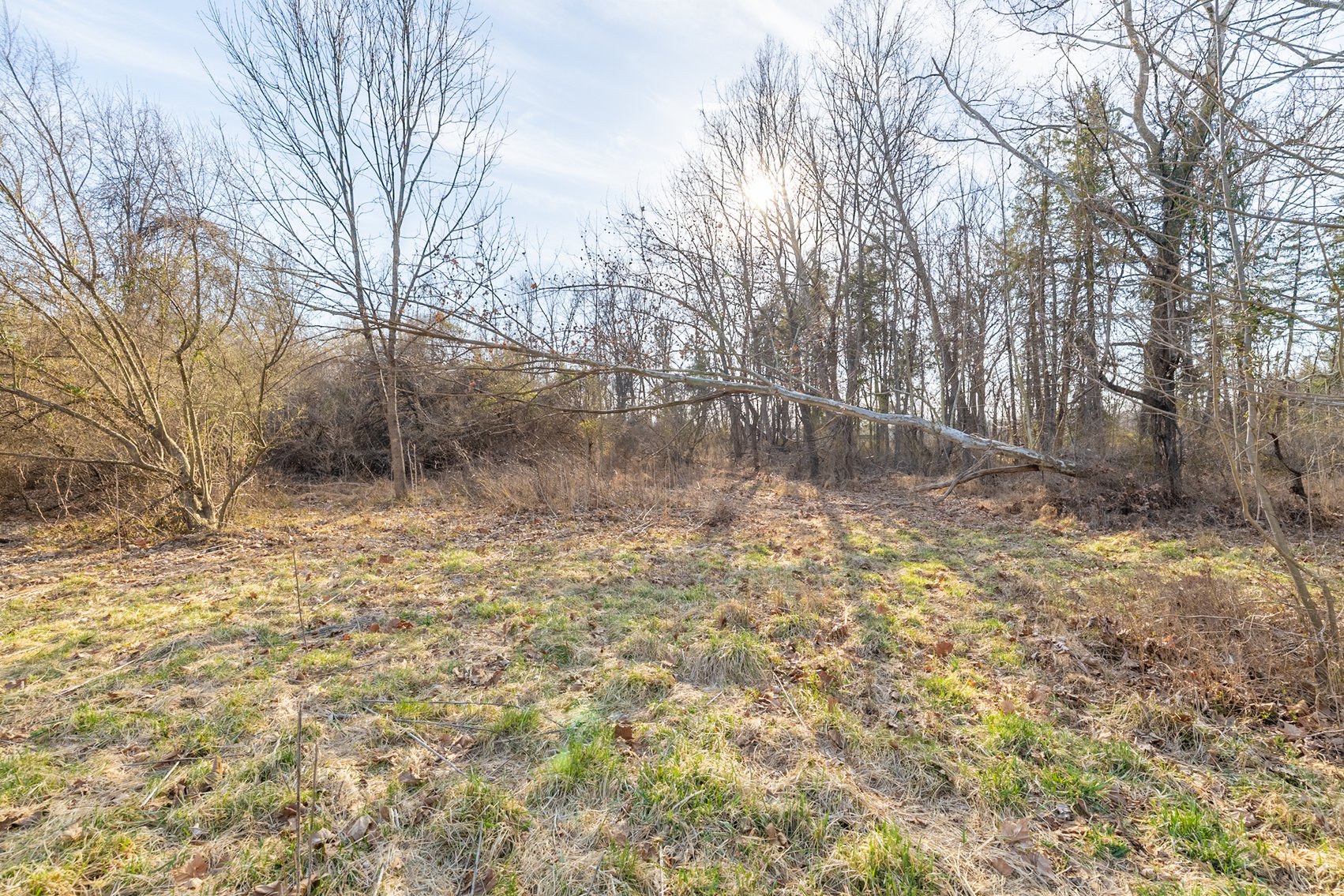 Image for Waynesboro Land Auction