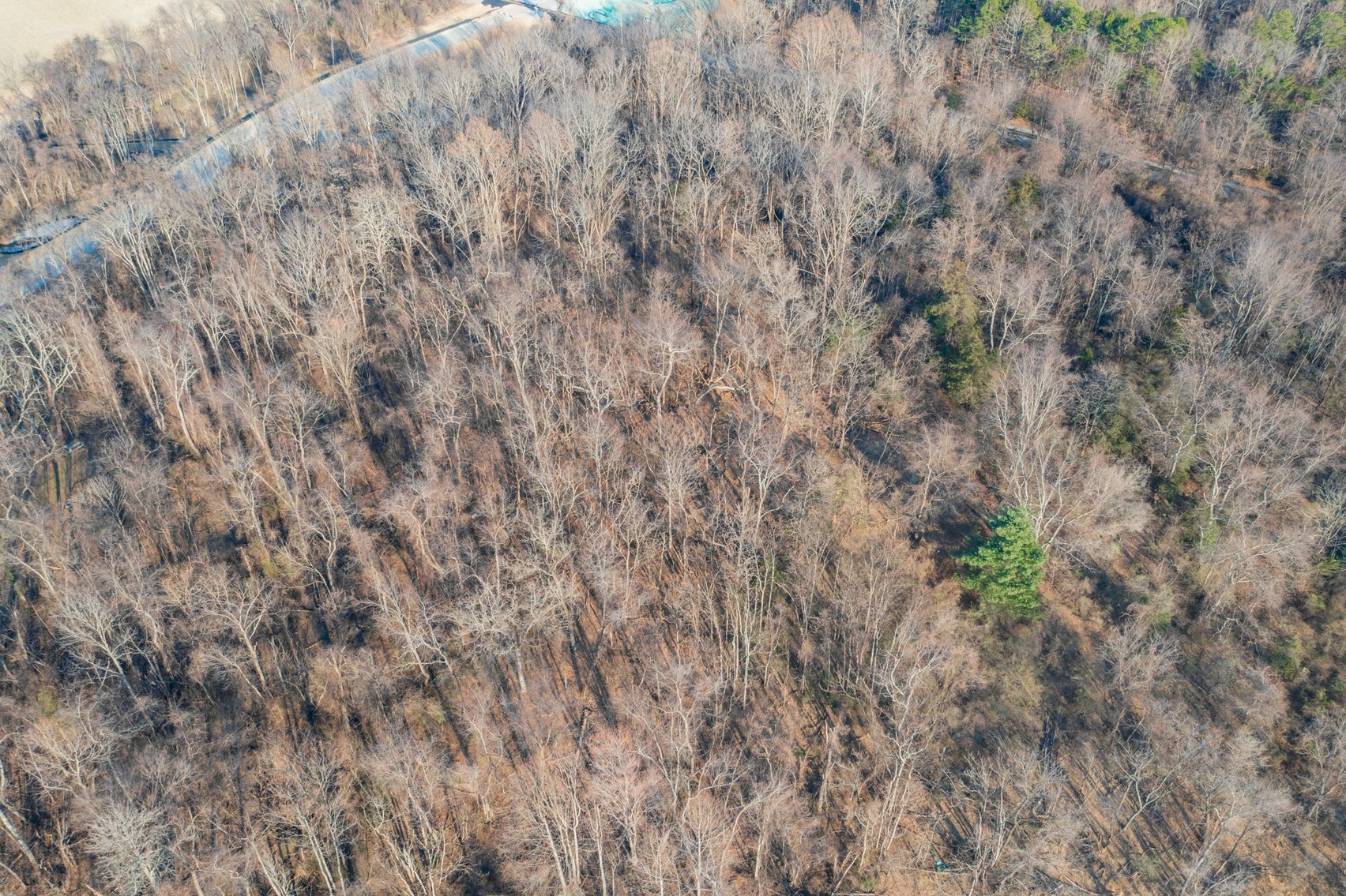 Image for Waynesboro Land Auction