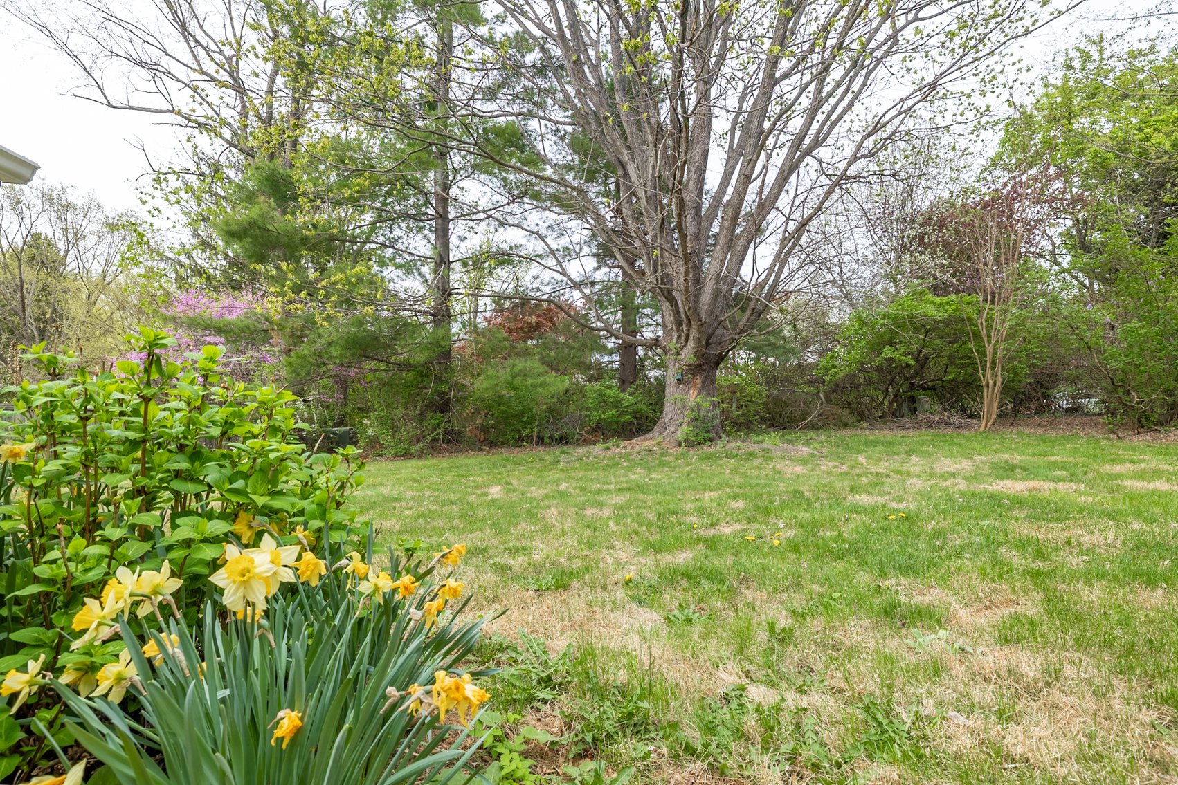 Image for Waynesboro Home