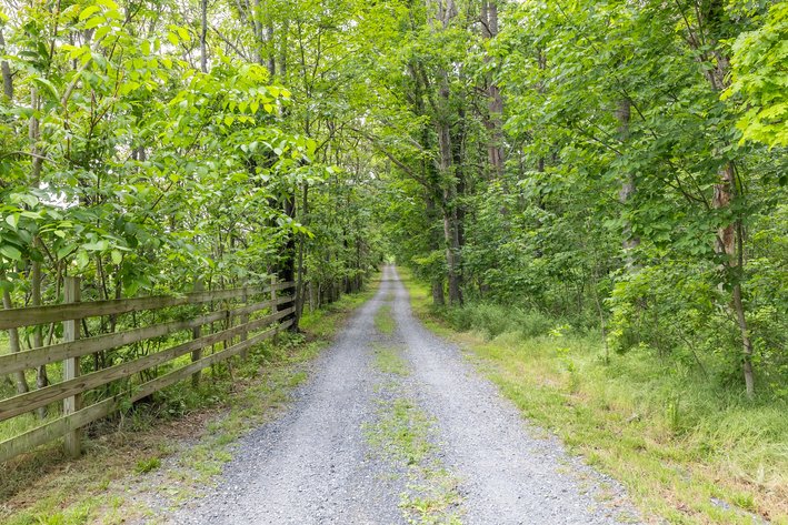 Image for Mt. Crawford Farm Auction