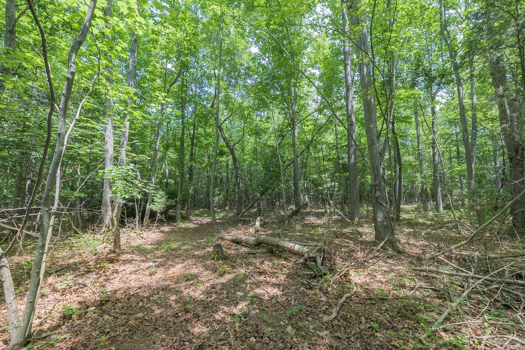 Image for Augusta County Real Estate