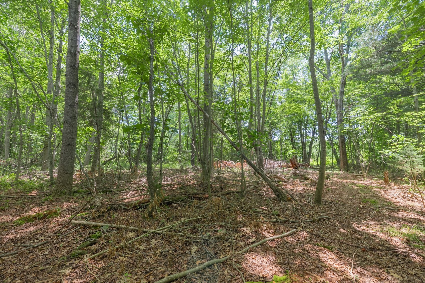 Image for Augusta County Real Estate