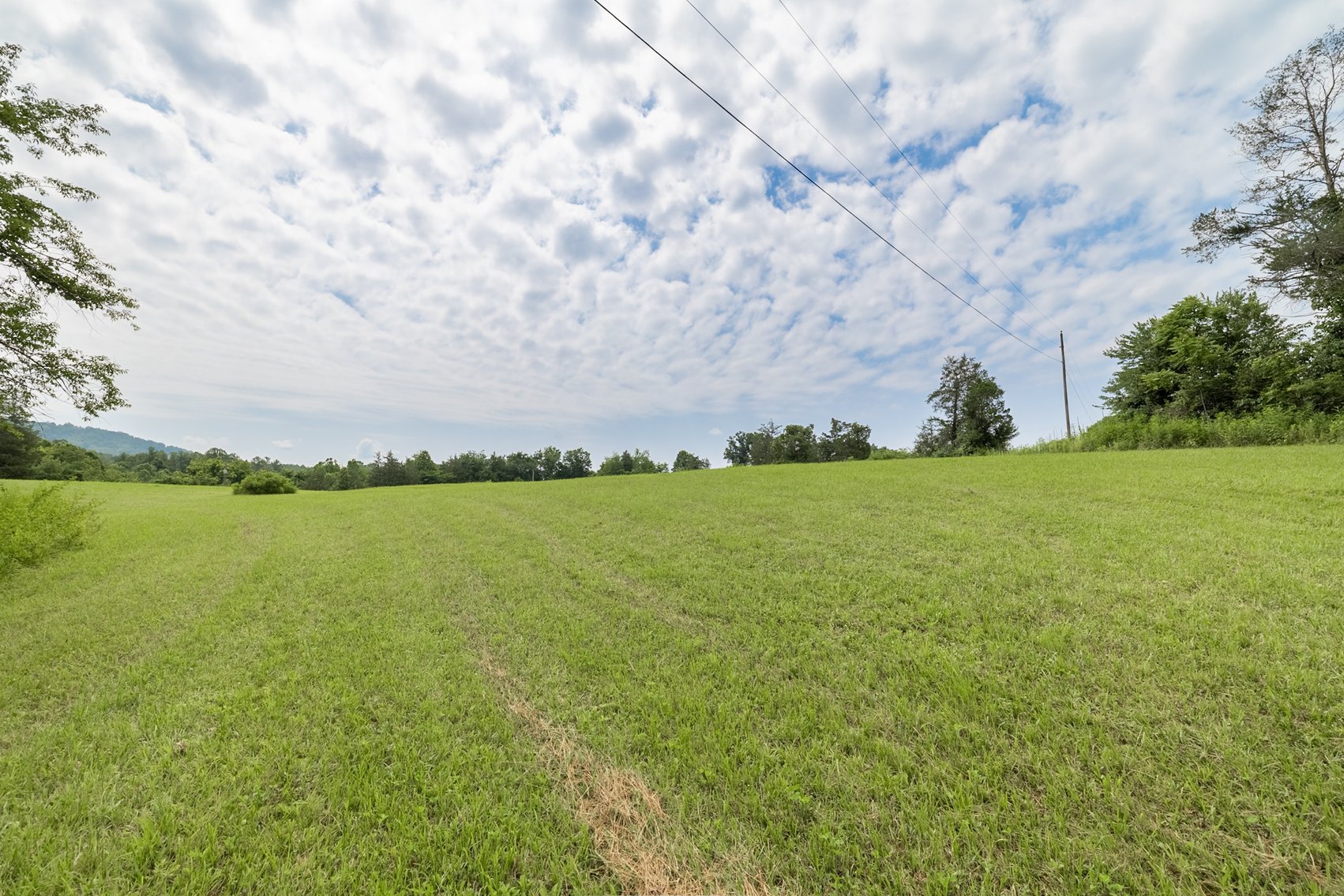 Image for Roseland, VA Homestead