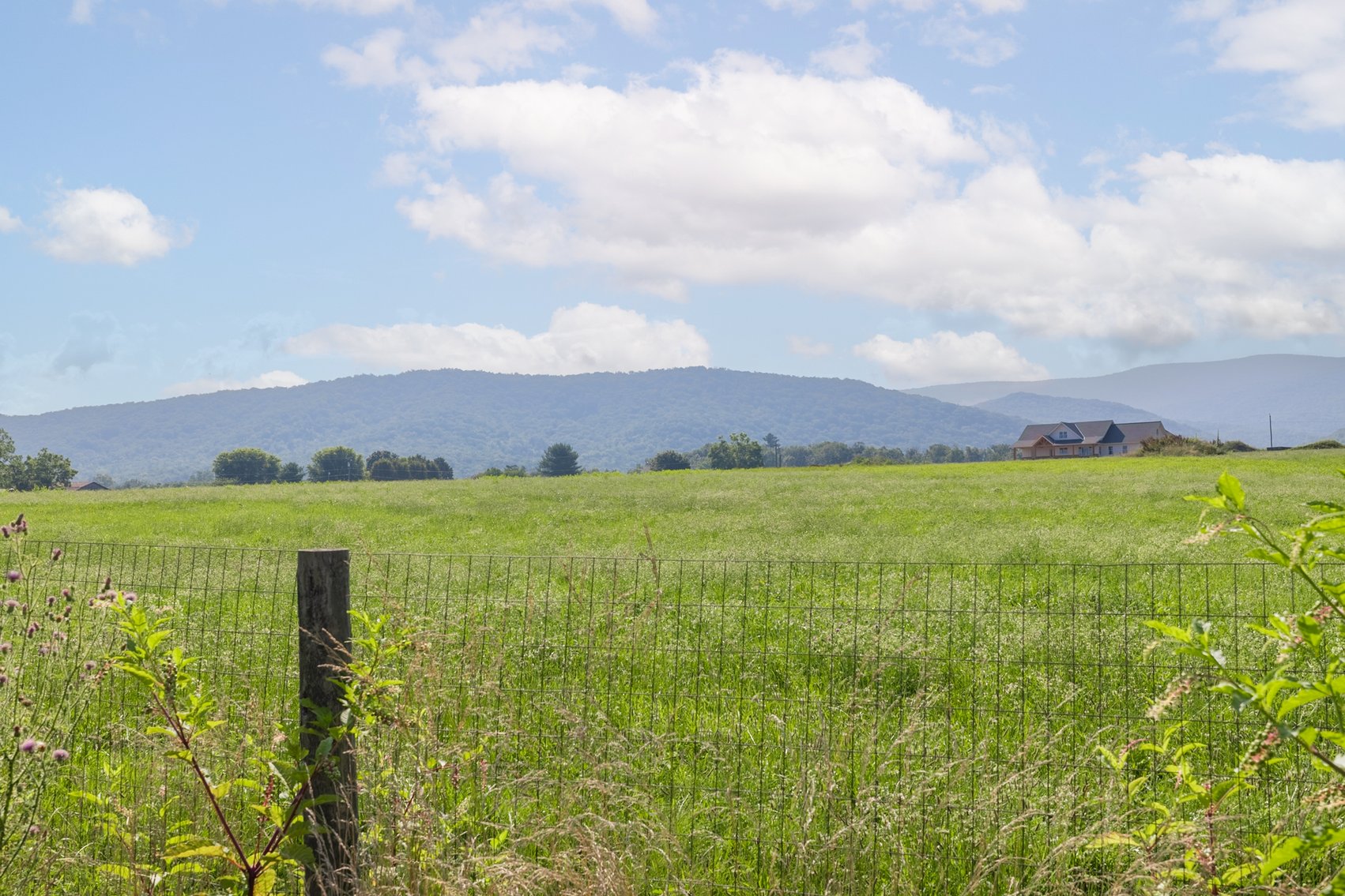 Image for Elkton, VA Real Estate