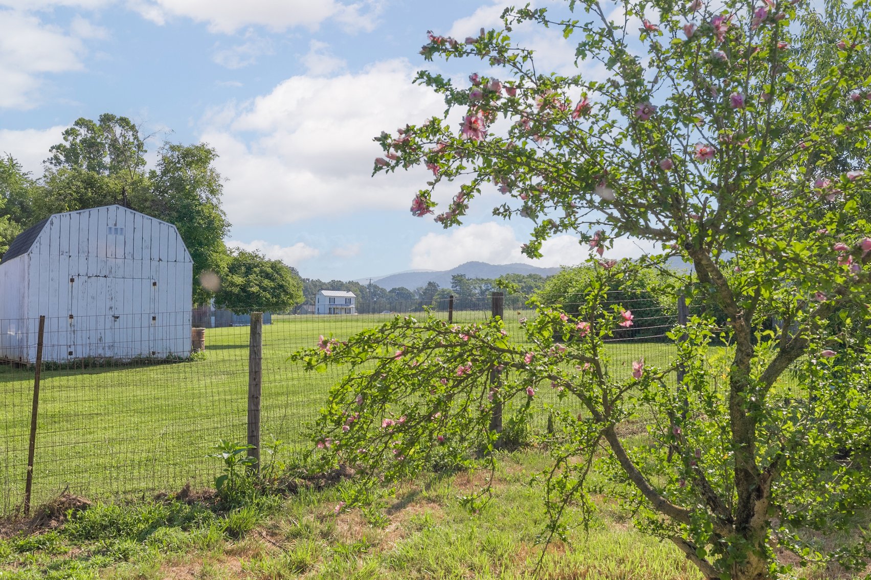 Image for Elkton, VA Real Estate