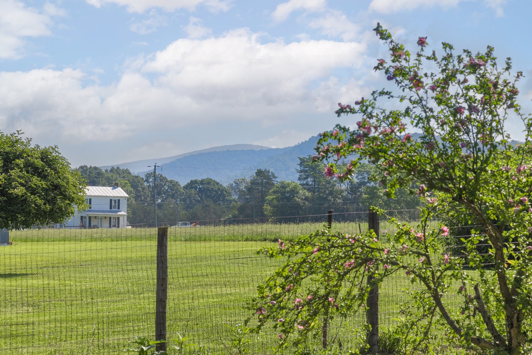 Image for Elkton, VA Real Estate