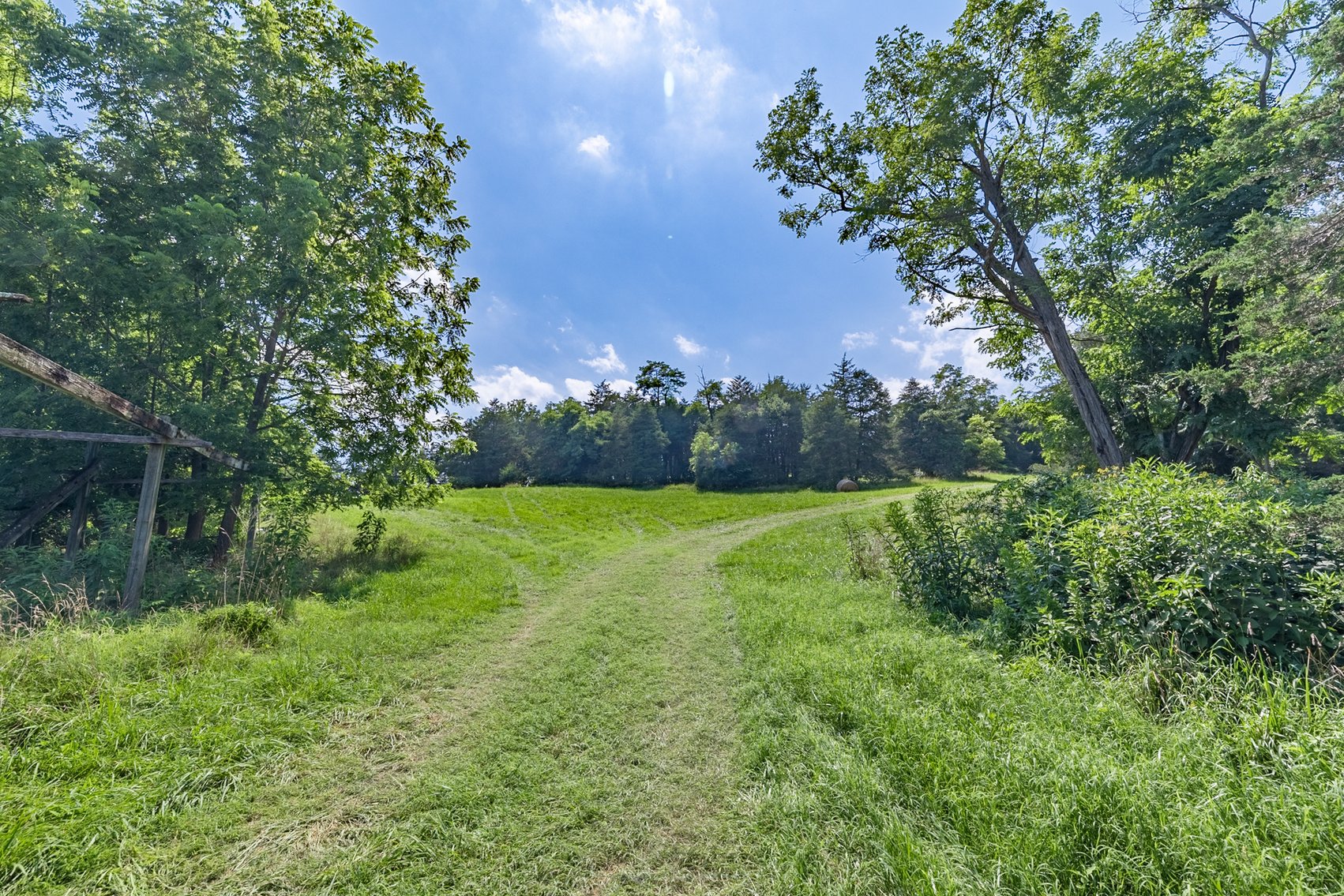 Image for Farm Land - Augusta County