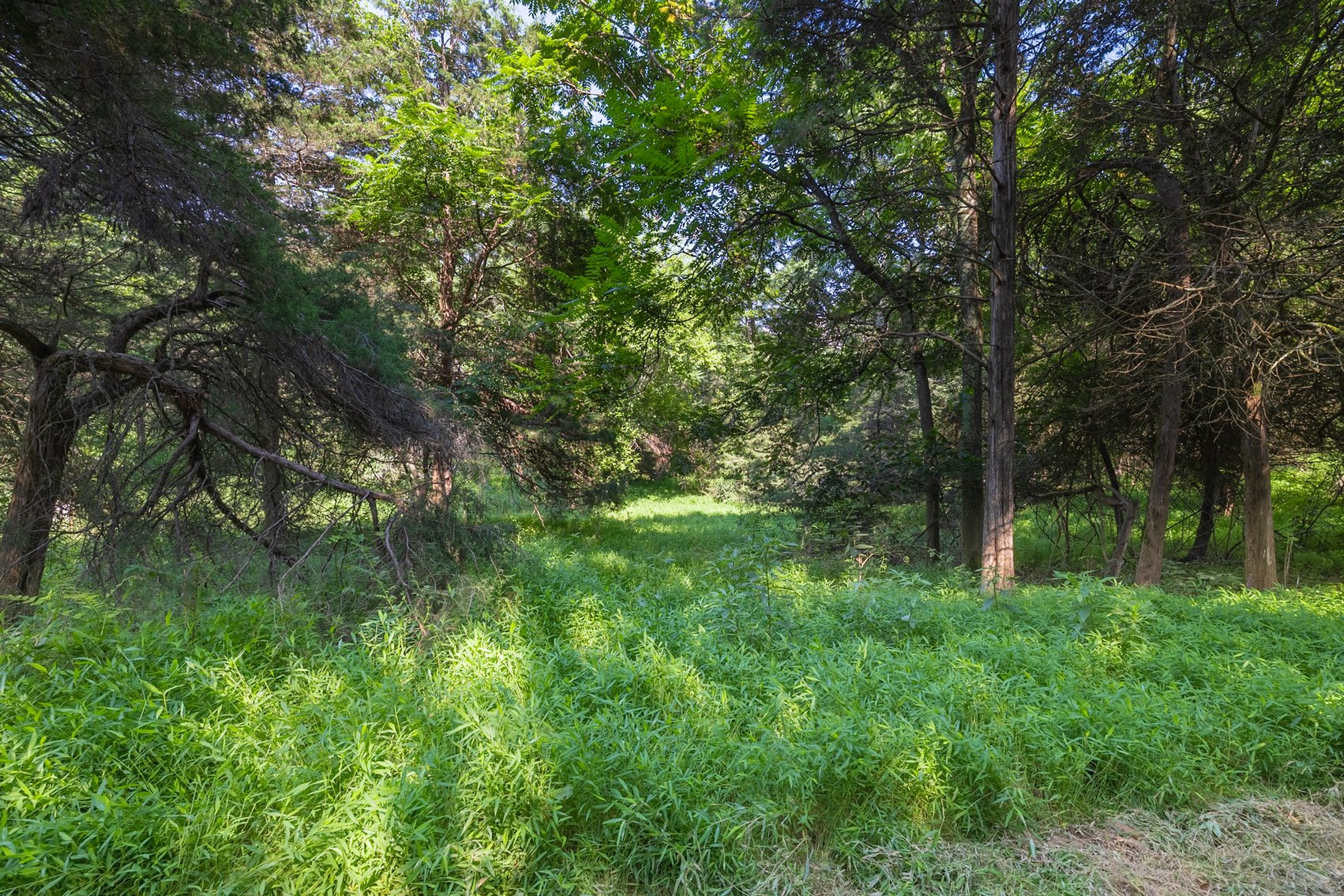 Image for Farm Land - Augusta County