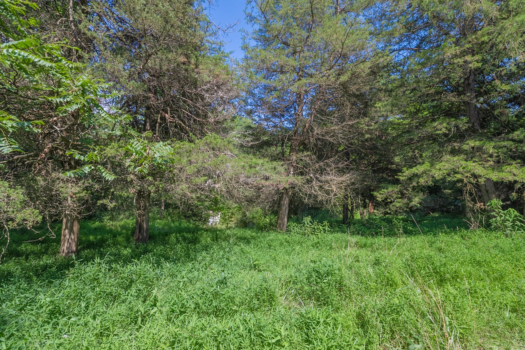 Image for Farm Land - Augusta County