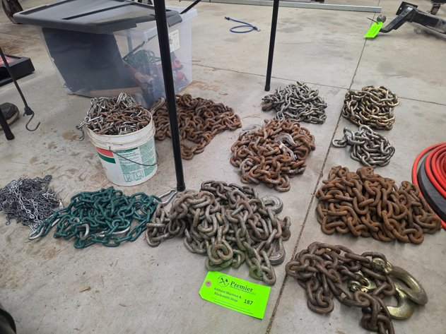 Image for Large Group of Assorted Chains.