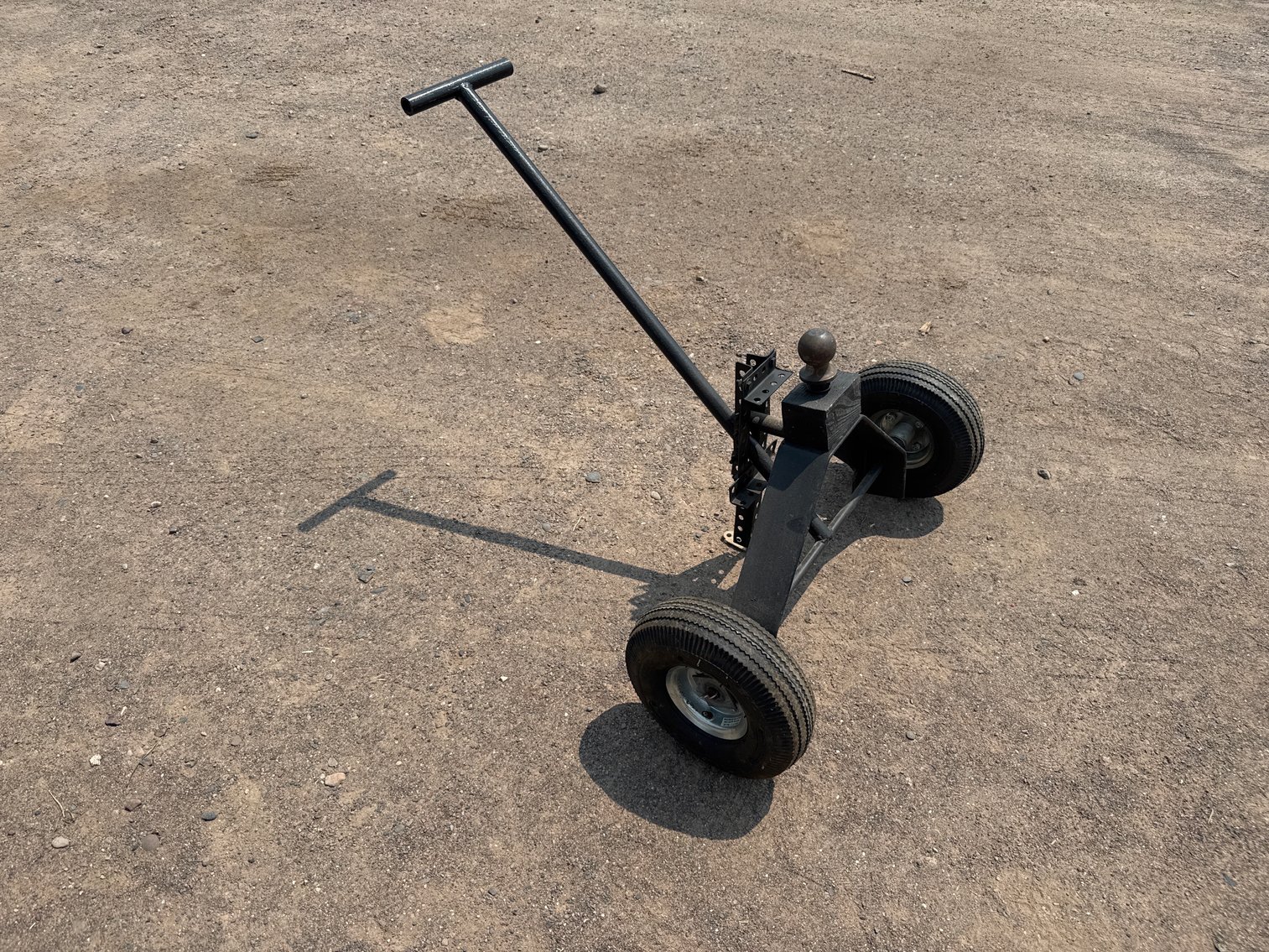 Image for Barnum Auction #231