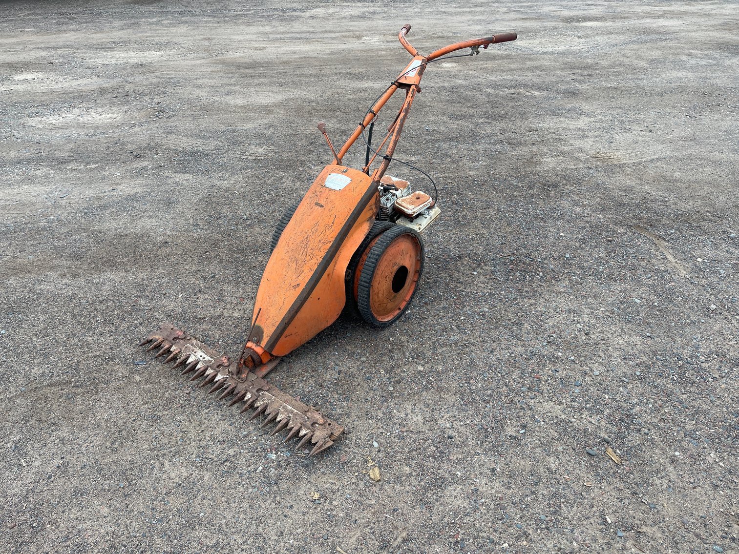 Image for Barnum Auction #237