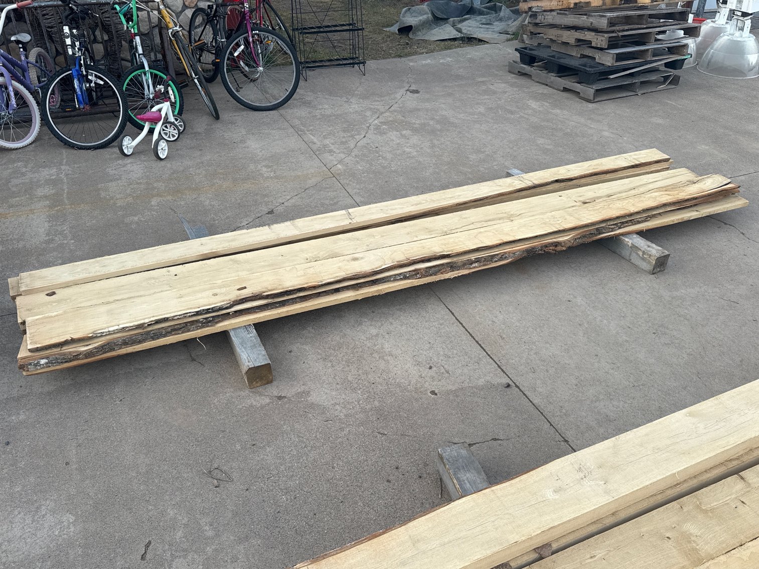 Image for Barnum Auction #253