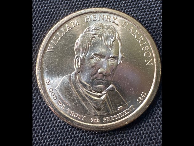 Image for Presidential Dollars