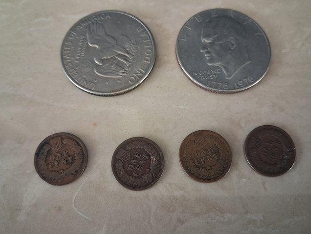 Image for Eisenhower/Indian Head Pennies