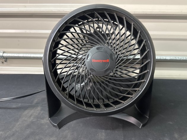 Image for Little Fan