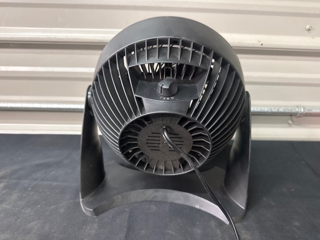 Image for Little Fan