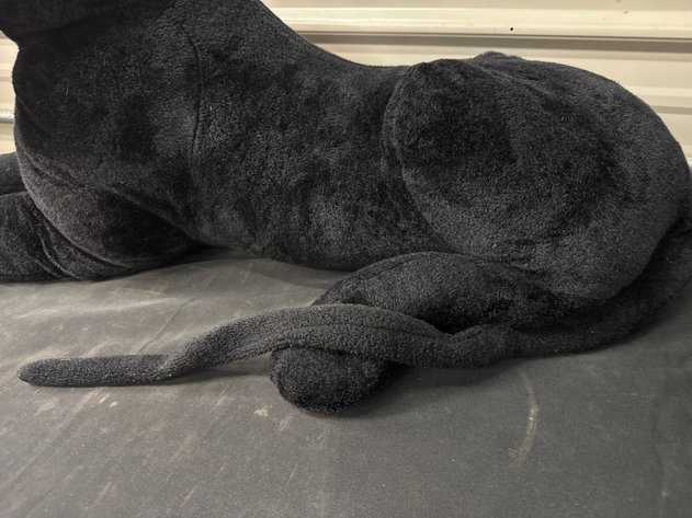 Image for Stuffed Panther