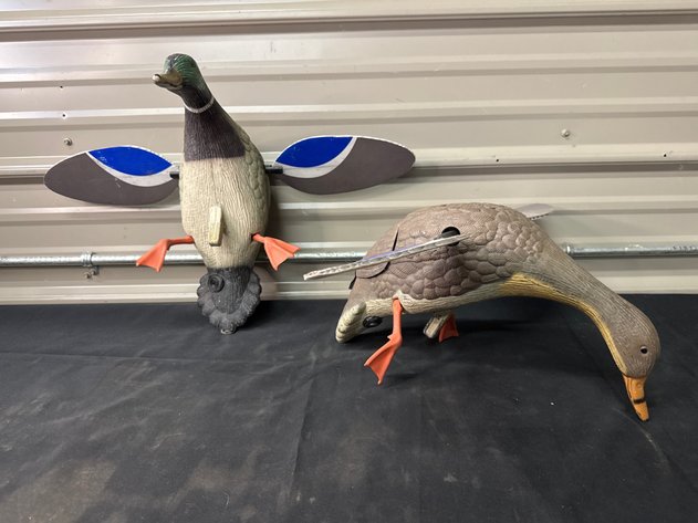 Image for Duck Decoys