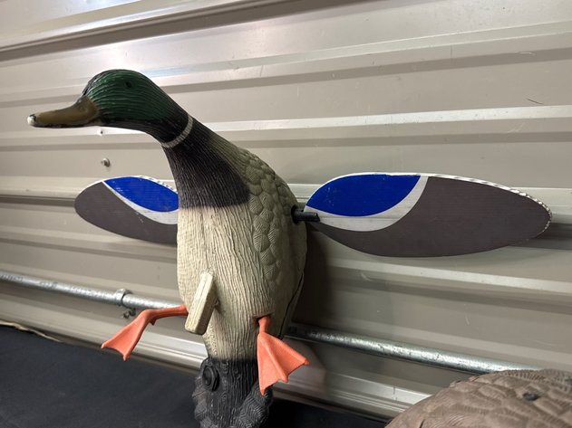 Image for Duck Decoys