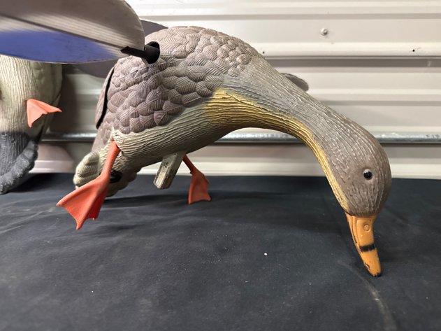 Image for Duck Decoys